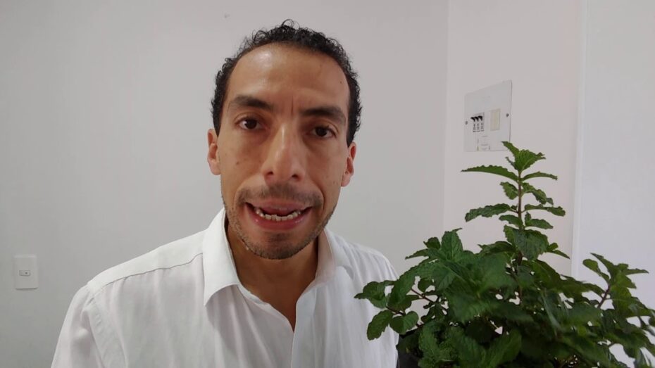 Tratamiento de plagas en la hierbabuena: consejos y soluciones