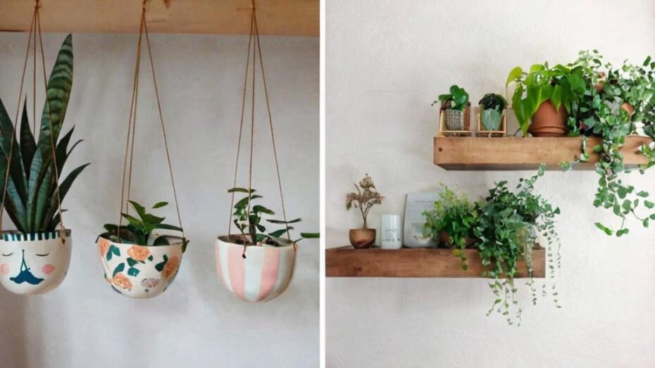 Ideas creativas para decorar con plantas colgantes