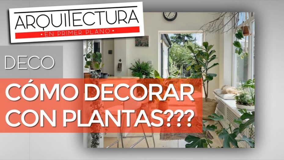 Plantas de interior: Ideas para decorar con estilo y armonía