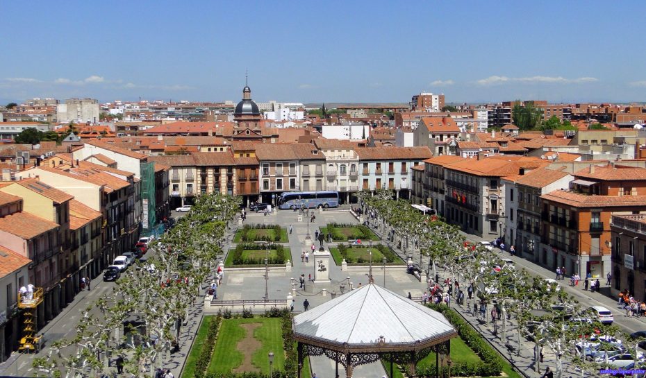 Jardín Botánico Alcalá de Henares: Explora la belleza de la flora y descubre la historia de la botánica en este oasis natural.