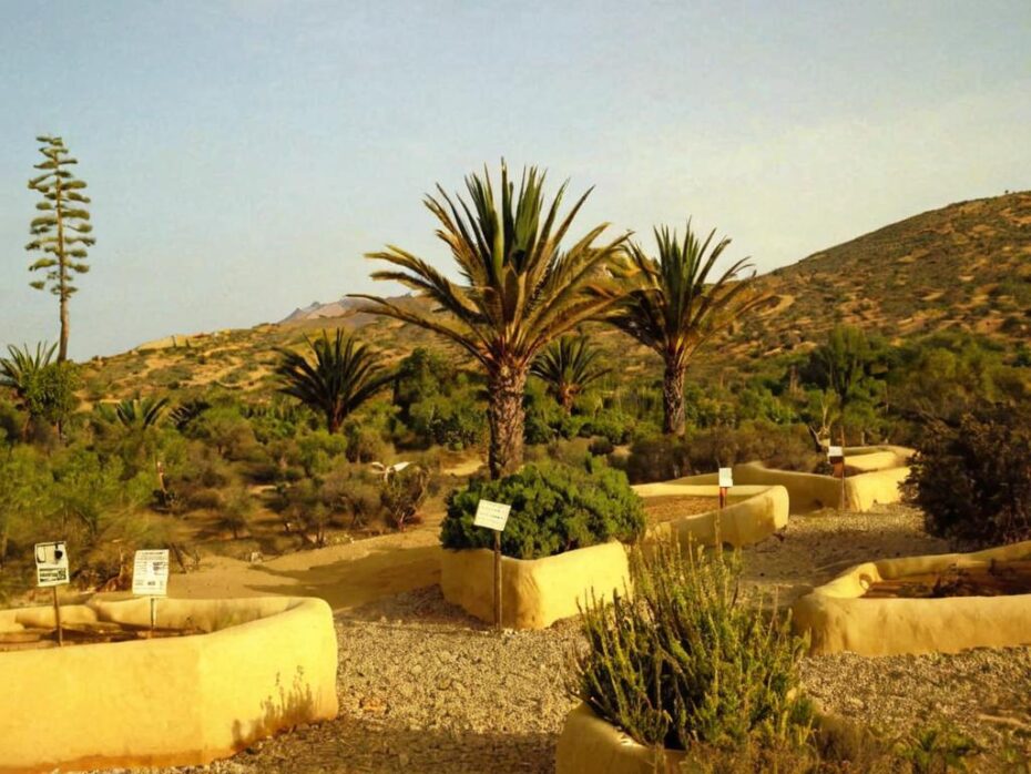 Jardín Botánico el Arbaldinal, descubre este paraíso