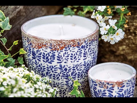 Encanto botánico en Jardines: Descubre los secretos de la flora