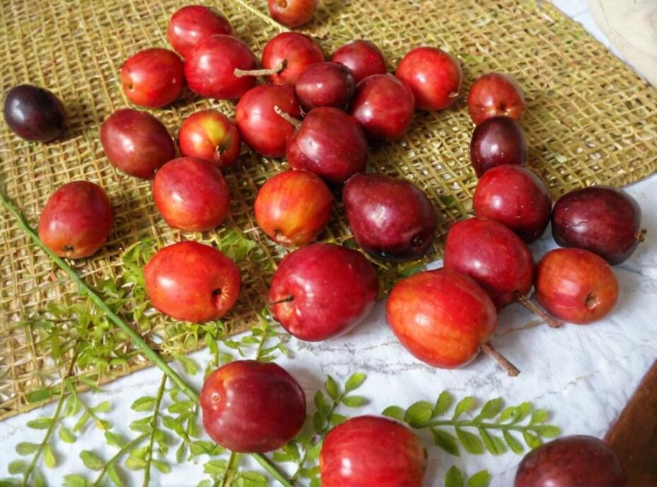 Jocotes o ciruelas mexicanas