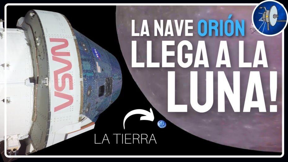 Artemisa: Descubre la espectacularidad de esta planta en la botánica
