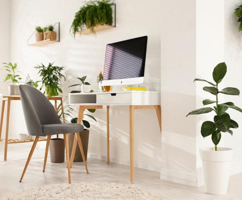 Las mejores plantas para oficinas sin ventanas: opciones resistentes y decorativas