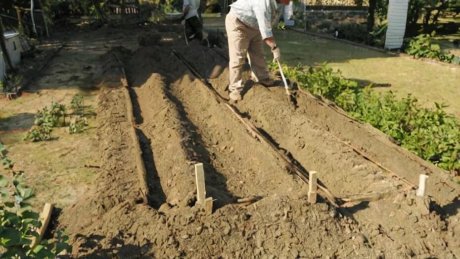 Las verduras más fáciles de cultivar que crecen en suelos pobres