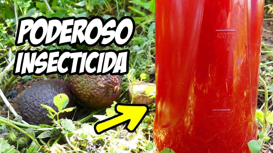Insecticida casero: descubre el mejor método para combatir plagas