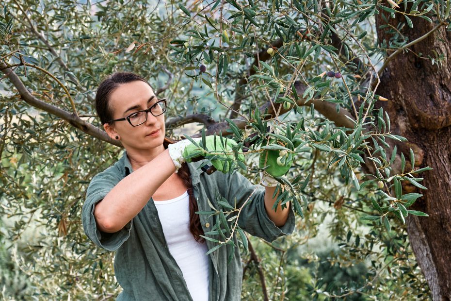 Ofertas exclusivas en productos de jardinería de Amazon Prime