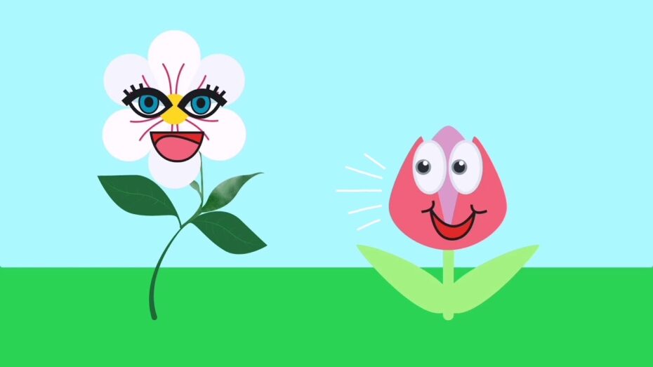 Partes de una margarita: Descubre la anatomía de esta hermosa flor