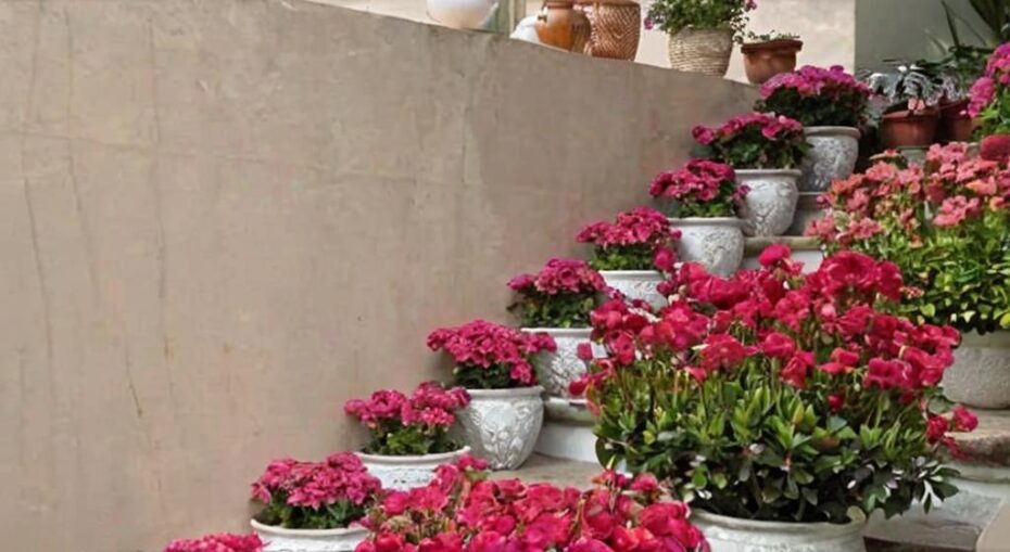 Plantas con flores rojas que florecen en primavera