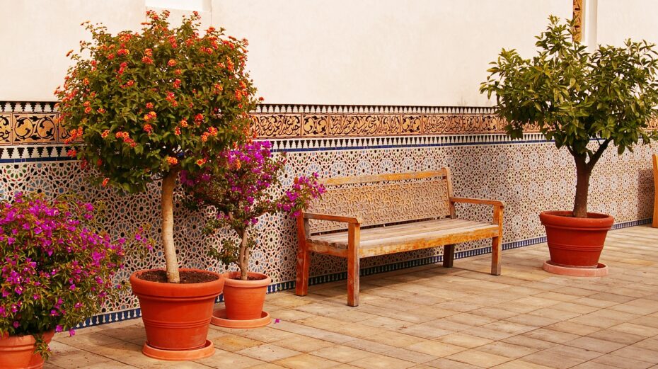 Resistentes plantas de exterior para todo el año: la guía completa