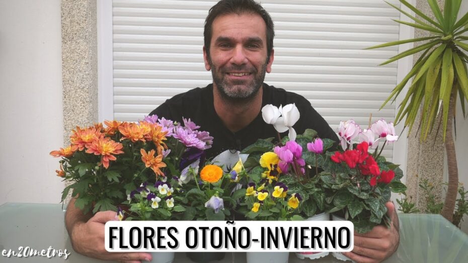 Plantas de invierno que florecen: Descubre las maravillas de la botánica en la estación más fría del año