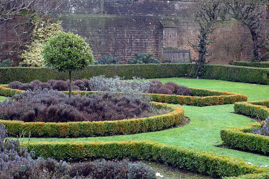 Setos bajos: Descubre las mejores plantas para crearlos