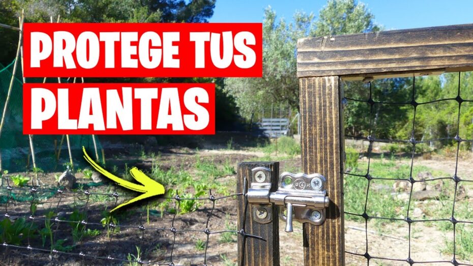 Protege tu huerto a distancia: consejos expertos en plantas y botánica