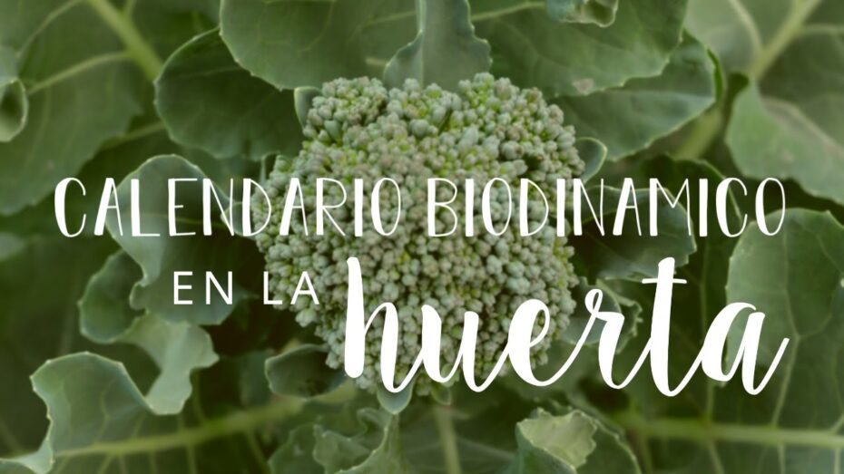 Calendario Biodinámico: Descubre qué es y cómo aprovecharlo en la jardinería
