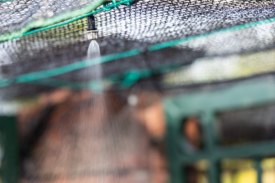 Riego por nebulización: Descubre en qué consiste y cómo beneficiar a tus plantas
