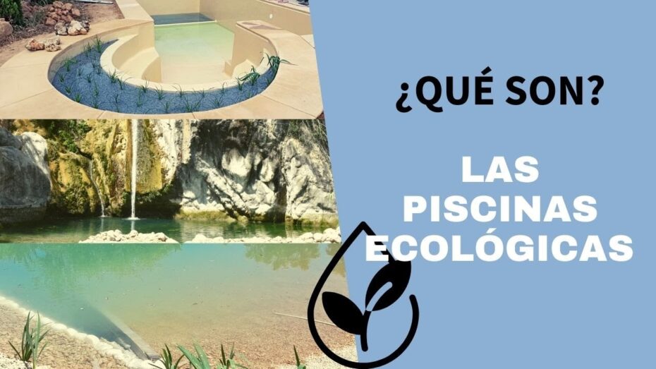 Piscinas biológicas: Descubre qué son y cómo funcionan