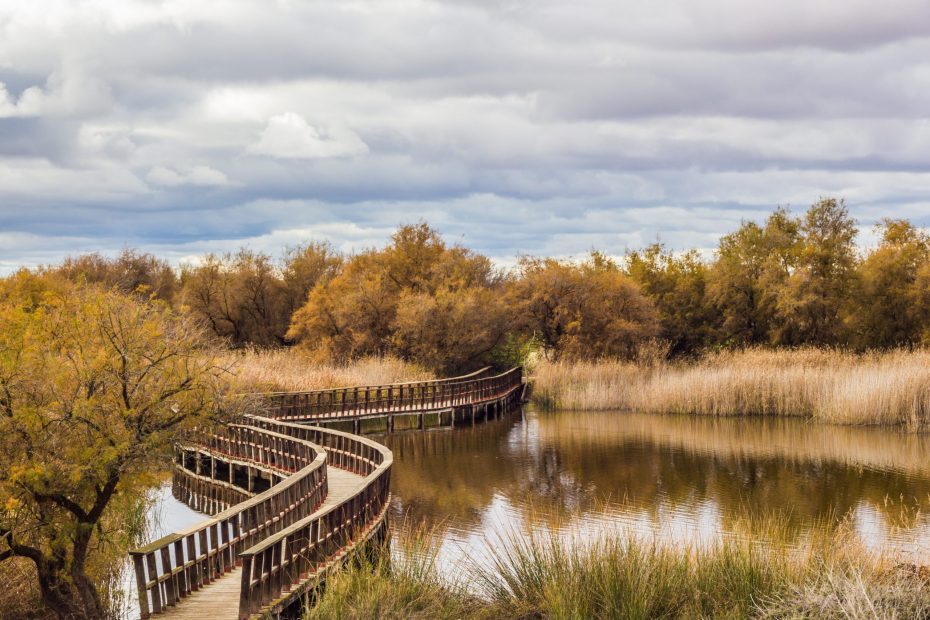Tablas de Daimiel: Descubre qué son y su importancia en la botánica