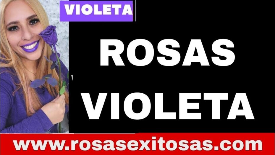 Significado de las rosas moradas: Descubre el simbolismo de estas hermosas flores