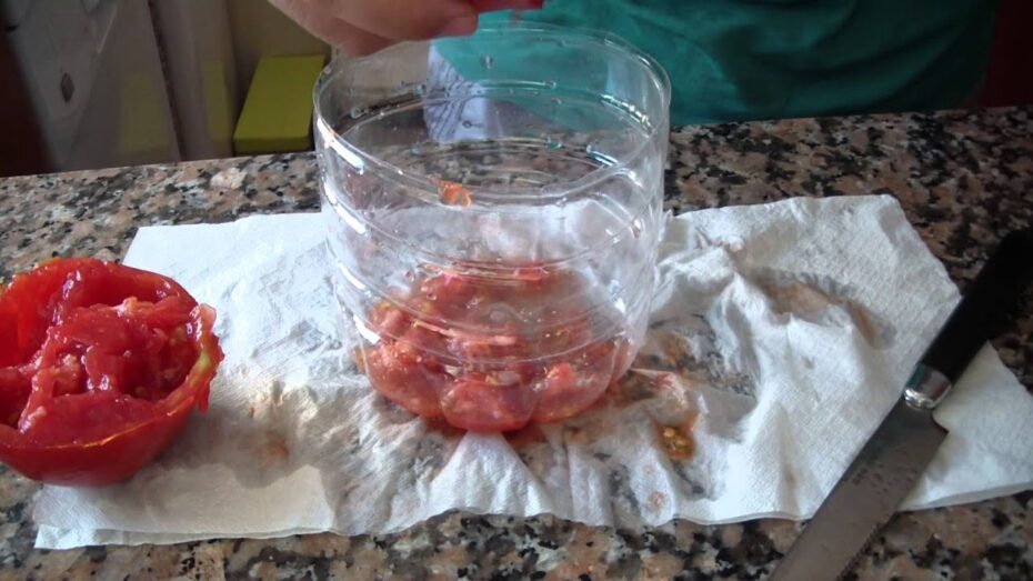 Guía completa: Cómo obtener semillas de tomate de forma efectiva