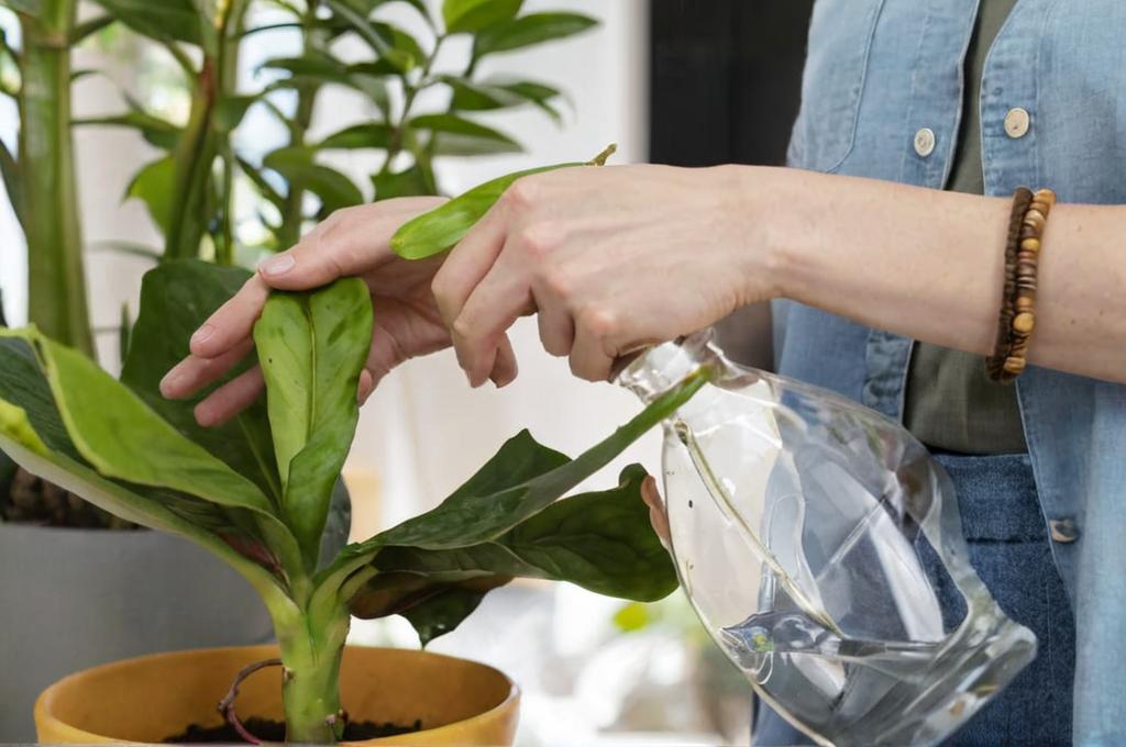 ¿Se pueden regar las plantas con vinagre?