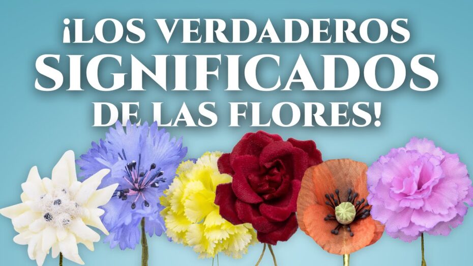 Flores: Descubre el significado y simbolismo de estas hermosas plantas