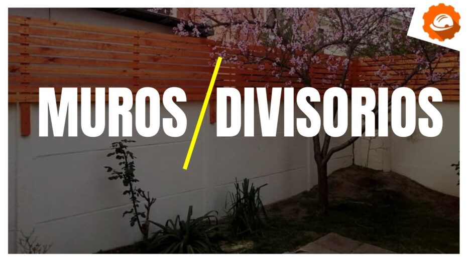 Tapando la vista del vecino: Cómo utilizar plantas y botánica para lograr privacidad