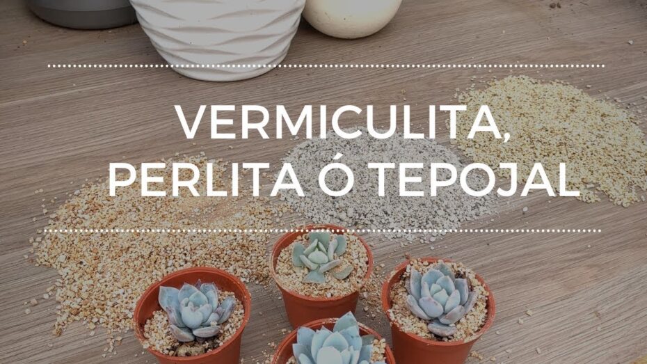 Beneficios del Tepojal para plantas: Guía completa de uso y cuidados