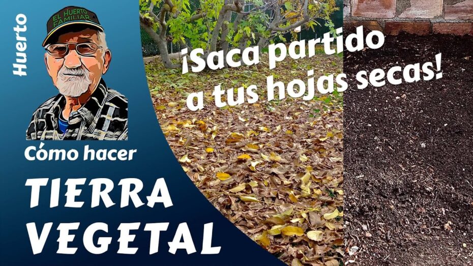 Preparación y uso de tierra vegetal: qué es y cómo se prepara