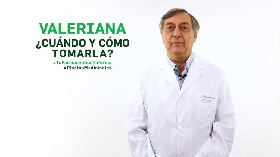 Valeriana: Descubre los beneficios y usos de esta planta en la botánica