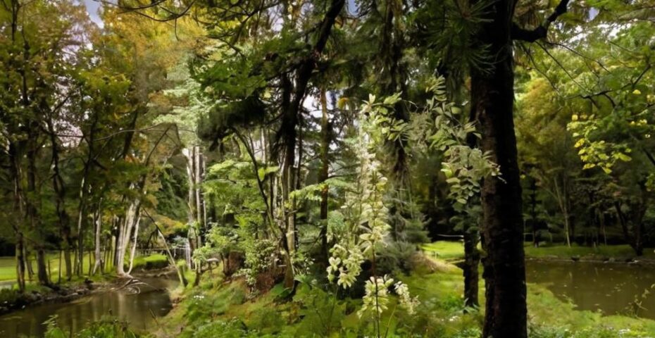 Visita el Jardín Botánico de Bertiz