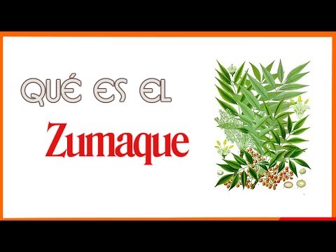Zumaque (Rhus coriaria): Todo lo que necesitas saber sobre esta planta y sus propiedades botánicas